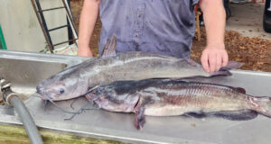 Make It Easy on Yourself, Bud – Just Go Fishing
