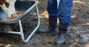 Backwoods to Barnyards – The Muck Boots Advantage