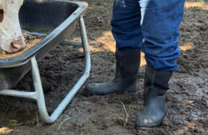 Backwoods to Barnyards – The Muck Boots Advantage