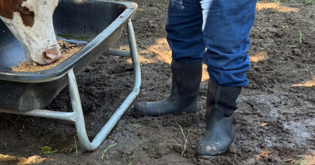 Muck Boots