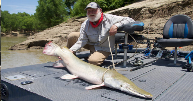 gar